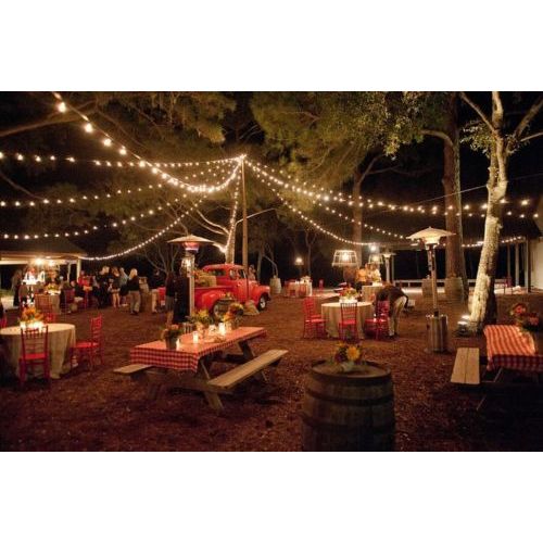50 Foot Outdoor Globe String Lights